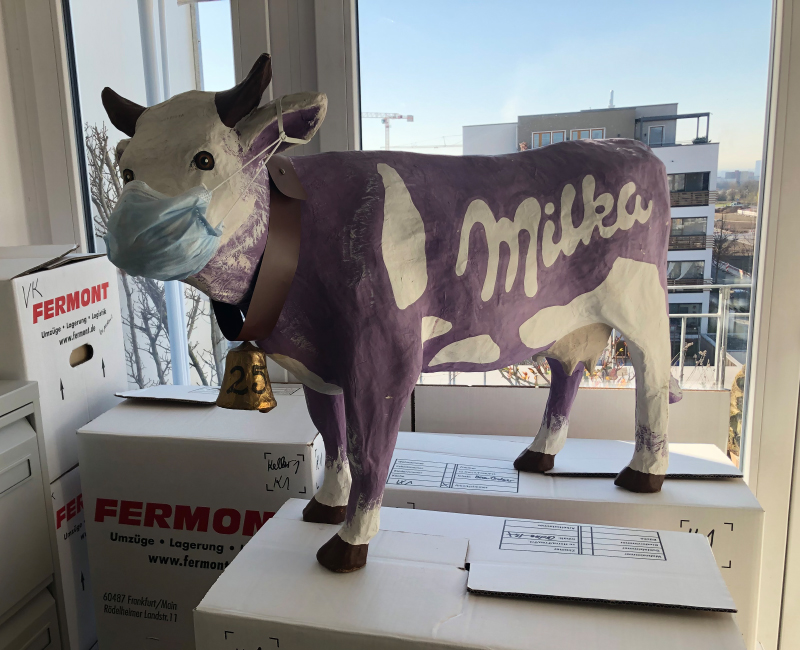 Milka-Kuh mit Coronamaske auf Umzugskiste